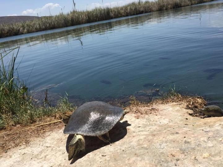 Terra Viva Villa Campestre Cuatrociénegas de Carranza المظهر الخارجي الصورة
